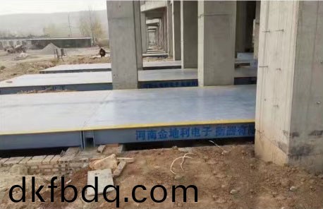 電子汽(qi)車(che)衡(heng)的(de)使(shi)用説(shuo)明(ming)